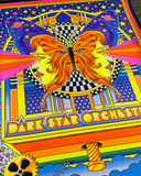 Dark Star Orchestra • 2025 New Years Run • 18"x24"